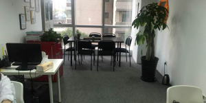 上海樱本投资咨询 专业服务，赋能企业战略与资本决策