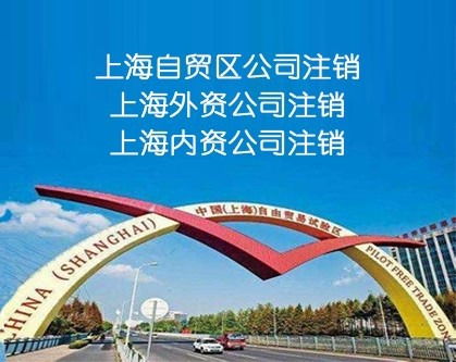 上海公司注销咨询服务全攻略 流程、要点与选择指南